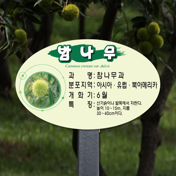 수목표찰 고정형 200x125스틸검정 평봇체 타원 꽂이형