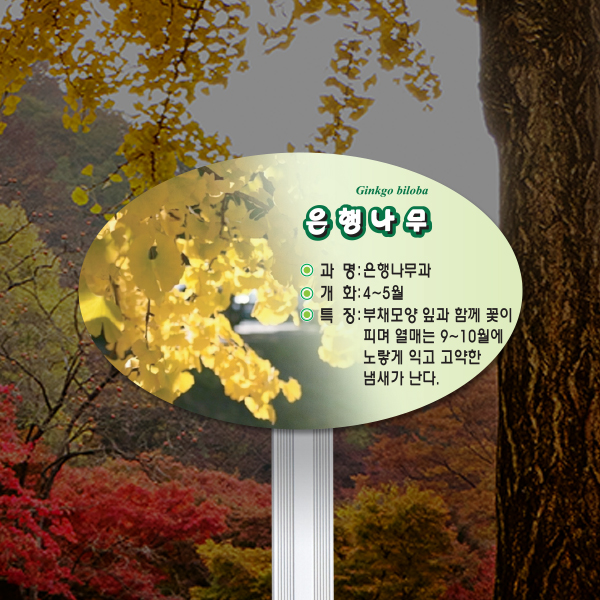 수목표찰 고정형 160x100 알루미늄대 포샵사진 타원 꽂이형