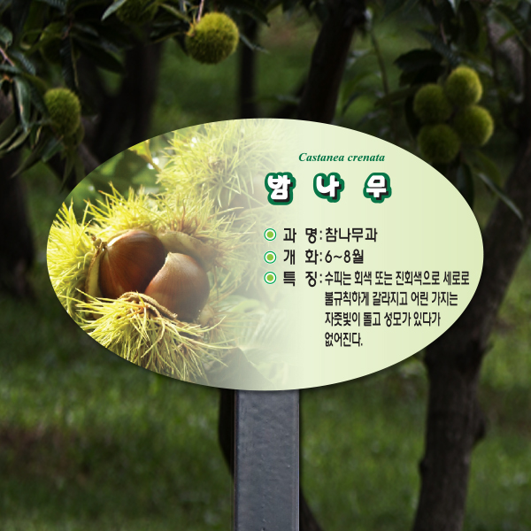 수목표찰 고정형 200x125스틸검정 포샵사진 타원 꽂이형