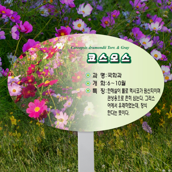 수목표찰 고정형 264x165 스틸대 포샵사진 타원 꽂이형