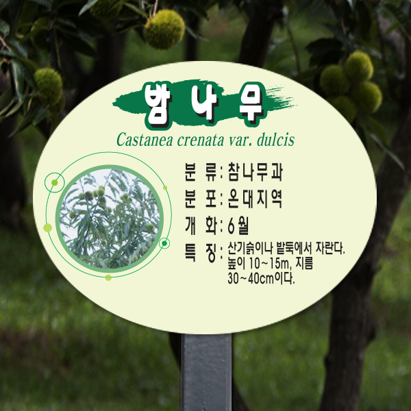 수목표찰 고정형 200x160 스틸검정 타원 꽂이형