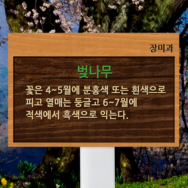 수목표찰 고정형 225x150 스틸대 나무무늬 효과 꽂이형