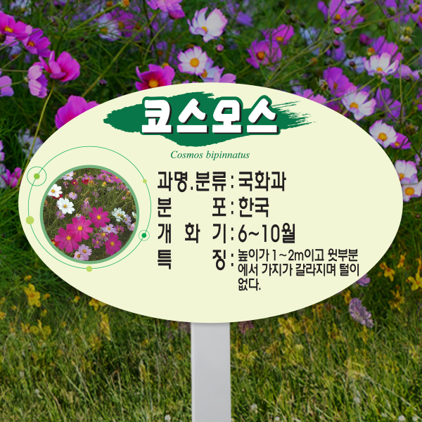 수목표찰 고정형 264x165 스틸대 평붓체 타원 꽂이형