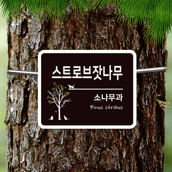 수목표찰 부착형 150x120 사각라운드 가로 걸이형 나무이름표