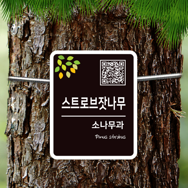 수목표찰 부착형 120x150 사각라운드 세로 걸이형 나무이름표