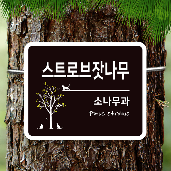 수목표찰 부착형 200x160 사각라운드 가로 걸이형 나무이름표