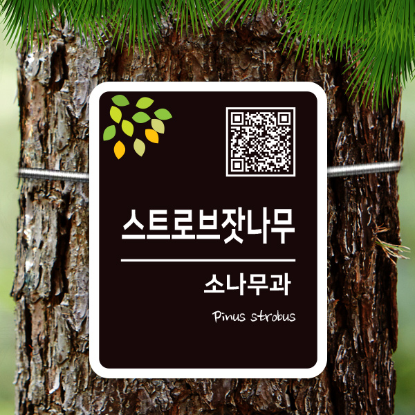 수목표찰 부착형 160x200 사각라운드 세로 걸이형 나무이름표