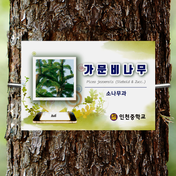 수목표찰 고정형 180x120 핸드폰 사각 걸이형 나무이름표 GB011_180x120_ms