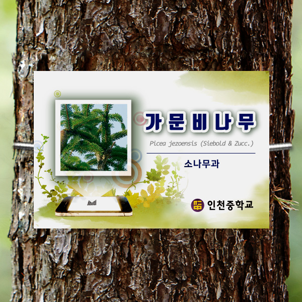수목표찰 고정형 225x150 핸드폰 사각 걸이형 나무이름표 GB012_225x150_ms