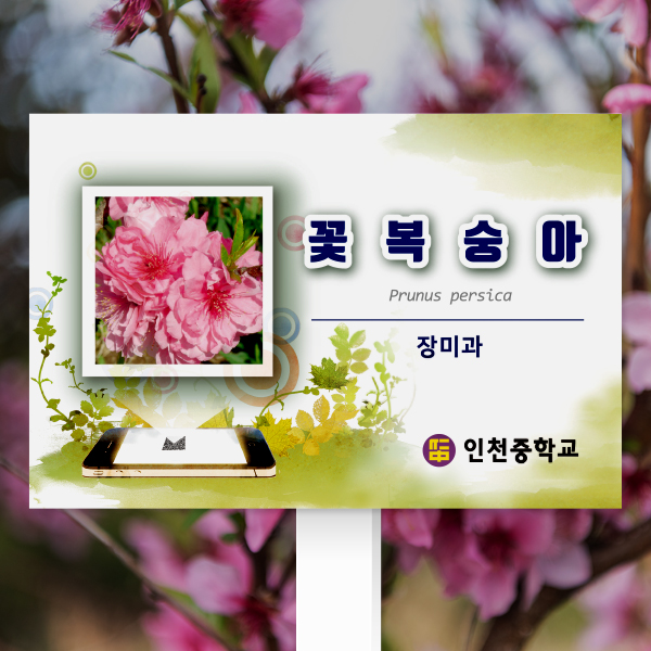 수목표찰 고정형 225x150 핸드폰 사각 포맥스대 꽂이형 GB012_225x150_ms