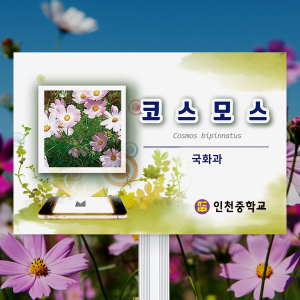 수목표찰 고정형 225x150 핸드폰 사각 알루미늄대 꽂이형 GB012_225x150_ms