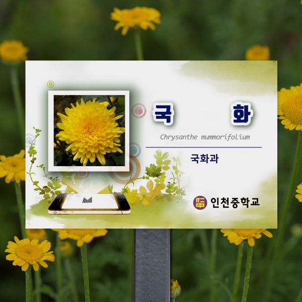 수목표찰 고정형 180x120 핸드폰 사각 스틸검정 꽂이형 GB011_180x120_ms