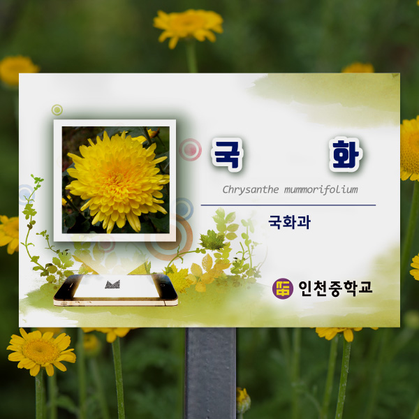 수목표찰 고정형 225x150 핸드폰 사각 스틸검정 꽂이형 GB012_225x150_ms