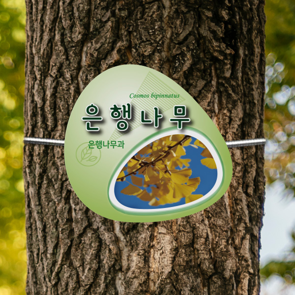 수목표찰 부착형 160X150 둥근그린그라 걸이형 나무이름표 GB010_160x150_ms