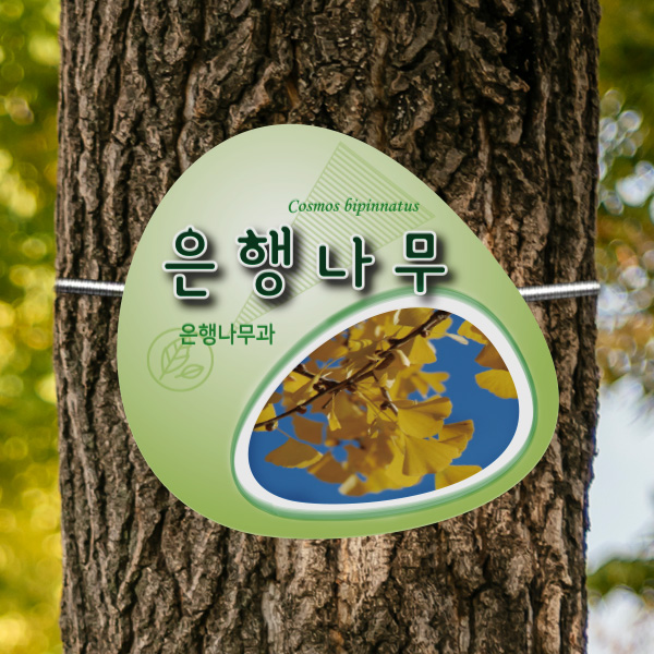 수목표찰 부착형 210X200 둥근그린그라 걸이형 명패 GB011_210x200_ms