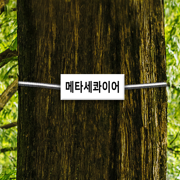 수목표찰 네임택 75x30 사각 걸이형 스텐 스프링 포함