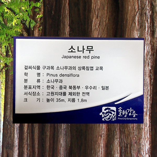 수목표찰 부착형 180x120 청색2단 걸이형 명패