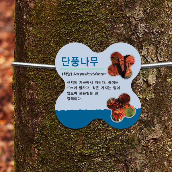 수목표찰 부착형 140x140 꽃모양 걸이형 나무이름표