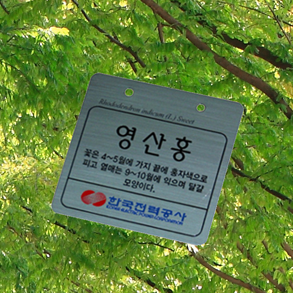 수목표찰 부착형 100x100 스텐 걸이형 나무이름표