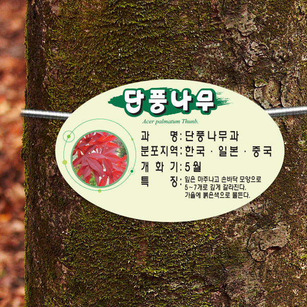 수목표찰 부착형 160x100 평붓체 타원 걸이형 명패