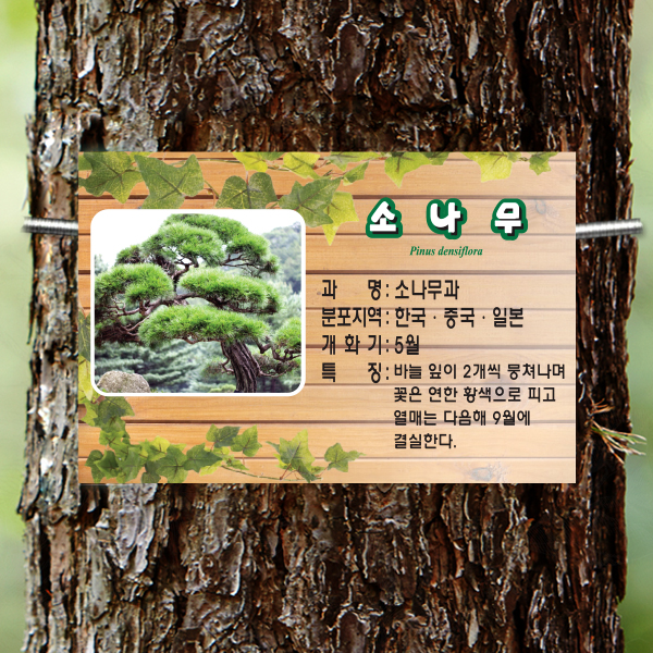수목표찰 부착형 180x120 덩굴 사각 걸이형 나무이름표