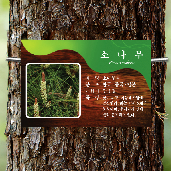 수목표찰 부착형 180x120 체리목 사각 걸이형 명패