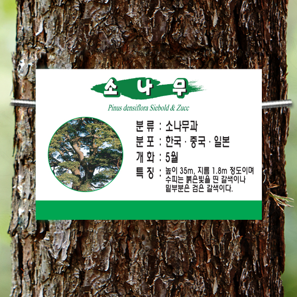 수목표찰 부착형 180x120 녹색띠 사각 걸이형 명패