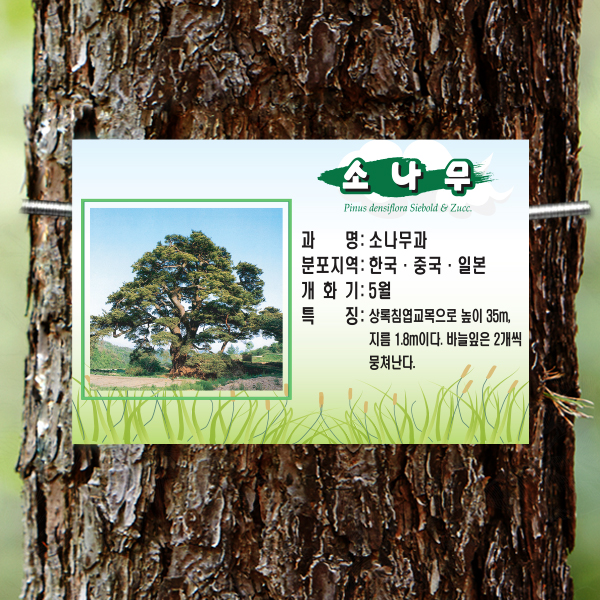 수목표찰 부착형 180x120 풀밭 사각 걸이형 나무이름표