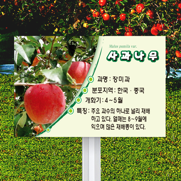 수목표찰 고정형 180x120 알루미늄대 라운드 사각 꽂이형