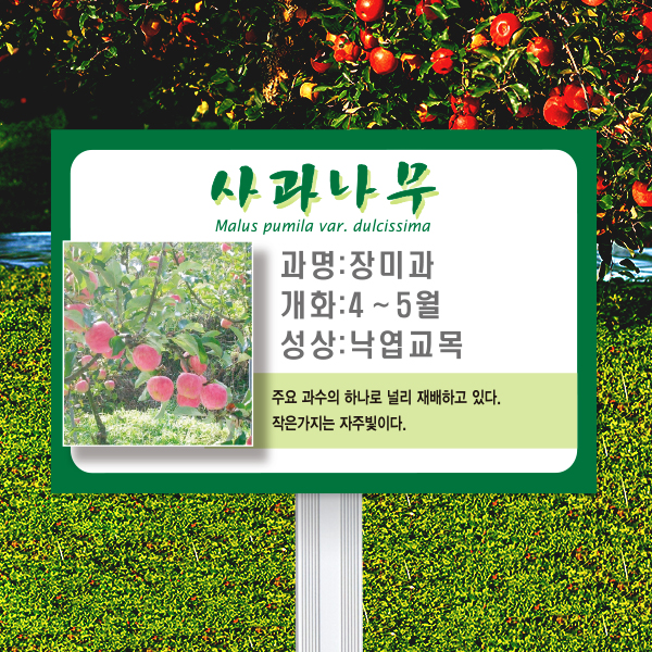 수목표찰 고정형 180x120 알루미늄대 녹색테두리 사각 꽂이형