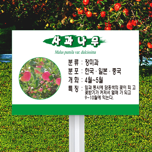 수목표찰 고정형 180x120 알루미늄대 녹색띠 사각 꽂이형