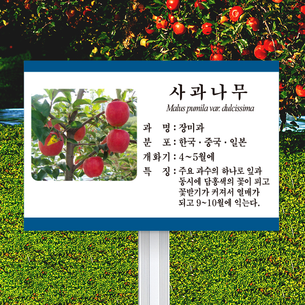 수목표찰 고정형 180x120 알루미늄대 청록색띠 사각 꽂이형