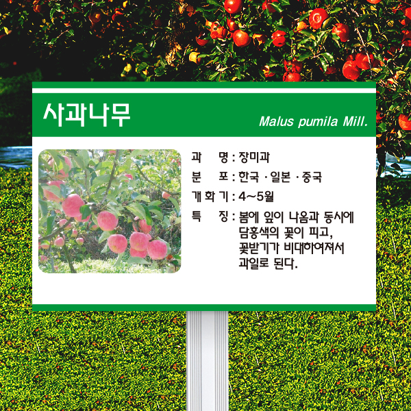 수목표찰 고정형 180x120 알루미늄대 초록3띠 사각 꽂이형