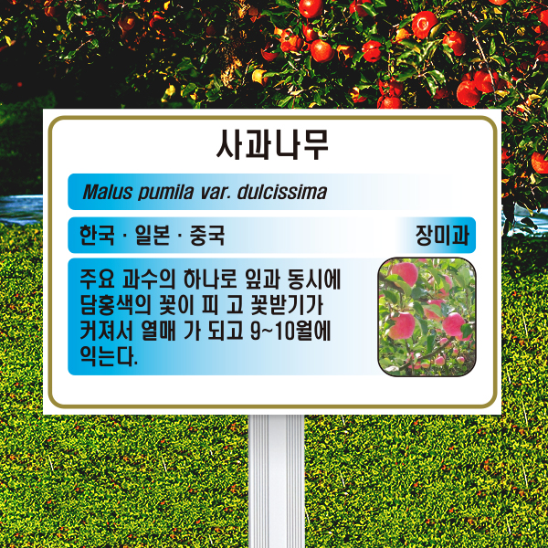 수목표찰 고정형 180x120 알루미늄대 하늘색 사각 꽂이형