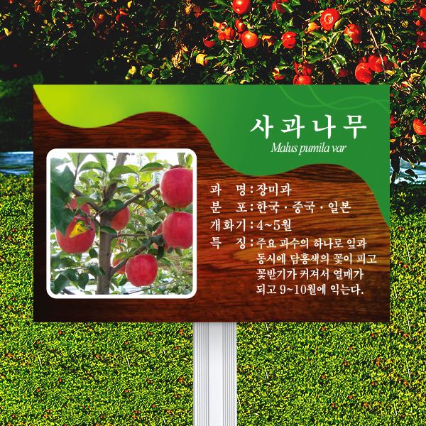 수목표찰 고정형 180x120 알루미늄대 체리목 사각 꽂이형
