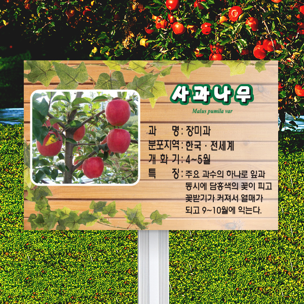 수목표찰 고정형 180x120 알루미늄대 덩굴 사각 꽂이형