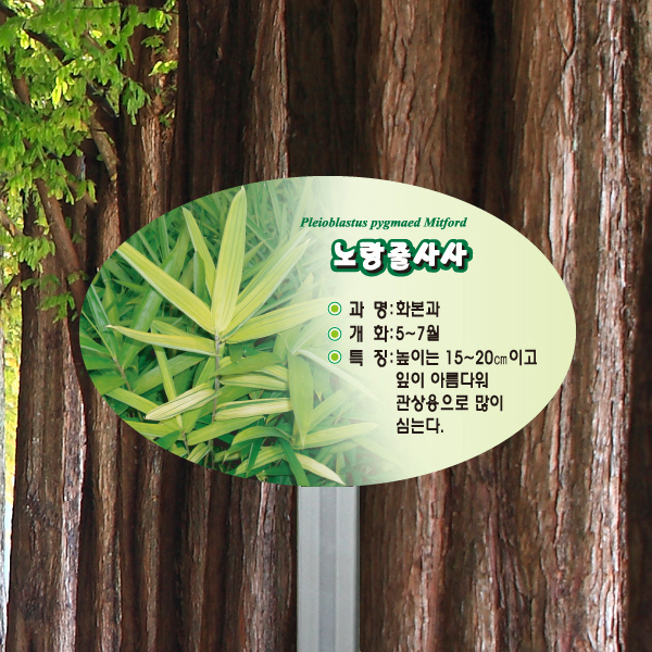 수목표찰 고정형 200x125 알루미늄대 포샵사진 타원 꽂이형