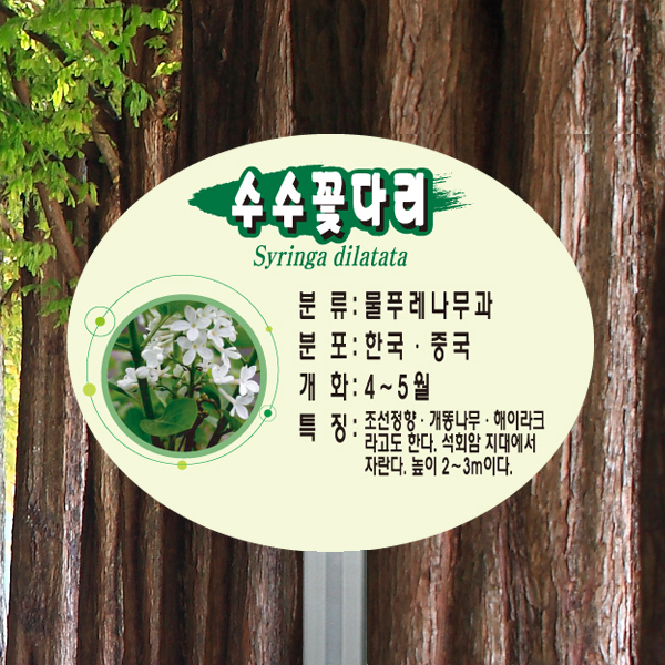 수목표찰 고정형 200x160 알루미늄대 타원 꽂이형