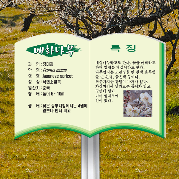 수목표찰 고정형 233x165 알루미늄대 책모양 꽂이형